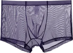 Breathable Ice Silk Men's Boxer Briefs See-Through Underwear Trunk Transparent Stretch Underwear 2025 Date Night