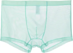 JEsilunmaMY Mens Mesh Mid Waist Boxer Briefs Solid Color Stretch Breathable Pouch Underwear See Through Thin Sexy Panties